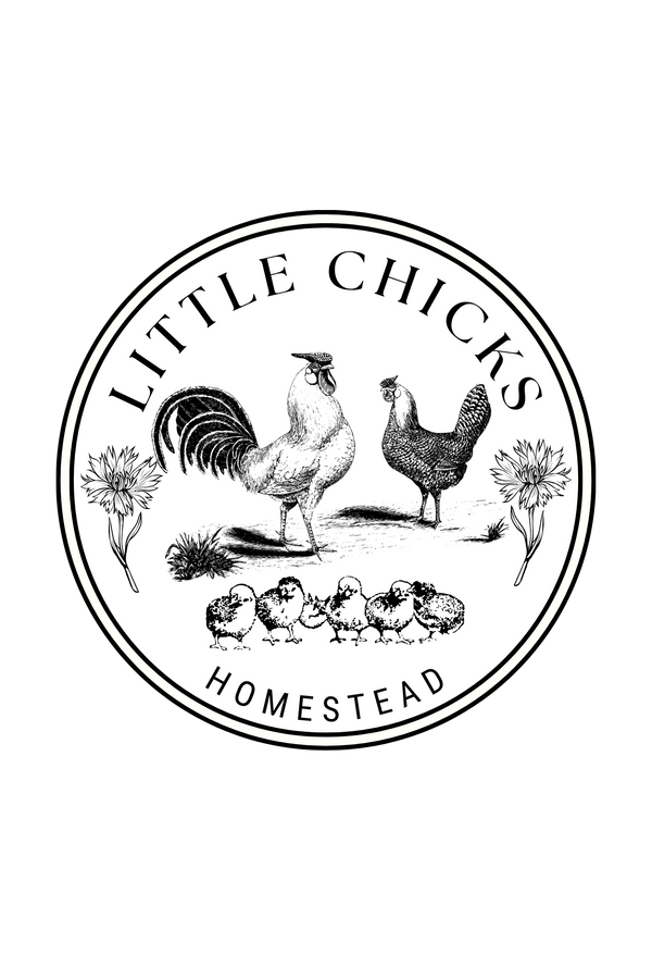 Little Chicks Homestead